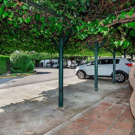 Mini Motel At Los Naranjosgc Marbella Exterior photo